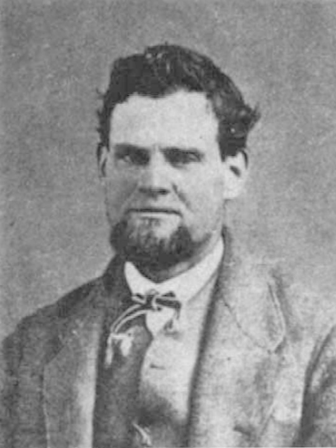 Wyllys Darwin Fuller (1835 - 1920) Profile